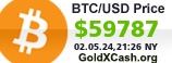 BTC/USD Exchange Price 51627.12$